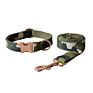 Lead Set Conjunto Coleira Hundehalsband Ome Cat Bow Tie Military Metal Buckle Tactical Dog Collar and Leash