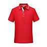 Light Weight Polyester Cotton Embroidered over Sublimation Printing Polo Golf Shirt Polo Shirt With
