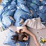 Luxury Simple Quilt Cover Bedding Set 100% Cotton Twill Small Fresh Double Bed 4 Pcs Bed Sheet Set