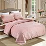 Luxury Super Soft Velour Queen 3 Pieces Embroidery Bedding Set Duvet Quilt