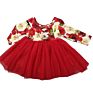 Lz Children Pink Rainbow Printing Tutu Dress for Kid Valentines Day Longsleeve Baby Girl Dress Party Dresses
