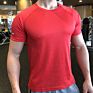 Men Activewear T Shirts 100% Polyester T Shirts Gym Elastane Athletic Quick Dry Top Shirts Mens