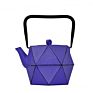 Theiere Fonte Cast Iron Teapot with Stainless Steel Filter 0.8L Tea Pot Kettle