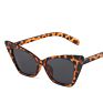 Womens Sunglasses Cat Eye Sunglasses White Brown Green