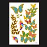 Temporary Body Tattoo
