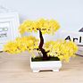 Yiwan Wholesalebonsai Welcoming Pine Multi Shape Lifelike Live Table Small Bonsai Outdoor Home Decoration Plastic Bonsai