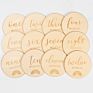 24 Double Sided Unique Designs Bonus Birth Announcement Sign Wooden Baby Monthly Cards