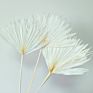 Bleached Sun Palm Dried Flower Bouquet Small Palm Spear Stems Natural Preserved Palm Fan for Wedding
