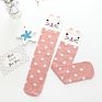 Cartoon Animal White Long Knee Girls Socks Novelty School Striped Socks for Kids In