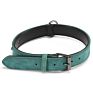 Competitive Price Training Nylon Leash Small and Large Dog Collar