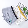 Direct 2 Pcs Kids Cute 100% Cotton Boys Boxers Trunks Shorts Kids Panties Underwear