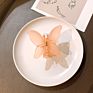 Frosted Jelly Korean Butterfly Shaped Temperament Catch Clip Headdress Hair Clip Shark Clip Hair Accessories