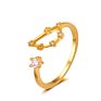 Gold Plated Cubic Zirconia 12 Zodiac Sign Letters Fine Jewelry for Women Men Birthday Gift Bijoux Constellation Rings