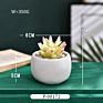 Green Individual Mini Faux Fake Artificial Succulent Cactus Plant Bonsai Succulent Assorted Set