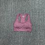 Padded Workout Ladies Quick Dry Fitness Padded Yoga Bra Training Fitness Sports Bra