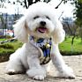 Popular Striped Outdoor Walk Soft Pet Harness Vest Pet Dog Harness