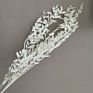Yunnan the Most Popular Preserved Dried Italian Bleached Ruscus Leaves for Wedding Home Decoration