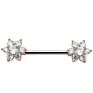 10Pairs/Set Stainless Steel Nipple Rings Tongue Ring Piercing Body Jewelry Barbell Cz Heart Shape Rings for Women Girls