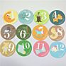 Baby Monthly Stickers Gold Letters for Newborns Milestone Vinyl Sticker