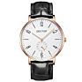 Dg001 Dectop Promotion Stainless Steel Back Mesh Band Silver Men Thin Watch