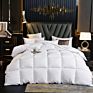 Fast Delivery in Stock Hypoallergenic Quilted Warm down Alternative Comforter
