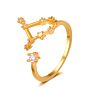 Gold Plated Cubic Zirconia 12 Zodiac Sign Letters Fine Jewelry for Women Men Birthday Gift Bijoux Constellation Rings