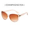 Retro Big Frame Cat Eye Sunglasses with Metal Hinges European and American Trend Sunglasses Women