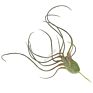 Style Faux Flower Fake Grass Artificial Plant Air Plant for Home Decoration