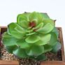 Artificial Mini Succulent and Cactus Succulent Pots Plant for Home Decoration