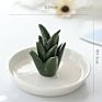 Ceramic Cactus Ring Holder Decorative Green Cactus Jewelry Holder Jewelri Display Tray