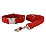 Classic Velvet Dog Bow Tie Collar and Leash Set Pet Gift with Bow