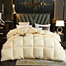 Fast Delivery in Stock Hypoallergenic Quilted Warm down Alternative Comforter