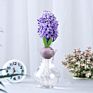 Flower Bulbs Nature Plant Hyacinth Flowers Seed Planting for Selling&Decoration