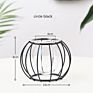 Grace Glass Vase Modern Hydroponic Iron Line Flower Glass and Gold Vases Plant Holder Home Decor Vase Crystal Glass