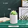 Green Individual Mini Faux Fake Artificial Succulent Cactus Plant Bonsai Succulent Assorted Set