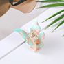 Hairpin Cellulose Acetate Hairpin Butterfly Hair Claw anti Skid Hair Accessories