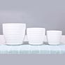 Ins Matte Glazed Ceramic Planter Pot with Saucer Modern round Decor Indoor Planter with Drainage Hole for Plants