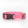 Personalized Logo Plastic Buckle Adjustable Plain Nylon Dog Collar
