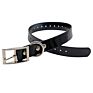 Sunglo Waterproof Tpu Synthetic Dog Collars with Adjustable Holes Supplies