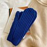 Zg Korean Chic Gloves for Women Gentle Elegant Ins Gloves Lady's Warm Gloves Knitted Full Finger Mittens