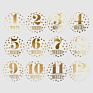 Baby Monthly Stickers Gold Letters for Newborns Milestone Vinyl Sticker