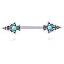 Different Styles Nipple Rings Stainless Steel Body Jewelry Ear Bar Barbell Piercings Earrings Nipple Shield Barbell