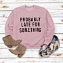 Drop Shipping Women's Hoodies & Sweatshirts Spring Casual Hoodie Pullover Sweatshirt Sweatshirt for Women