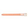 dog neck belt collar