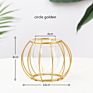 Grace Glass Vase Modern Hydroponic Iron Line Flower Glass and Gold Vases Plant Holder Home Decor Vase Crystal Glass