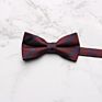 Professional Mens Suit Shirt Bowties Stylish Business Bow Ties For