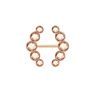 Nipple Rings