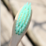 100% Organic Private Label Charcoal Bamboo Toothbrush