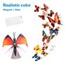 12Pcs One Pack 10 Colors Pvc Butterflies 3D Wall Sticker Home Decorations Refrigerator Decoration Wall Sticker Butterfly