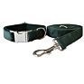 Classic Velvet Dog Bow Tie Collar and Leash Set Pet Gift with Bow